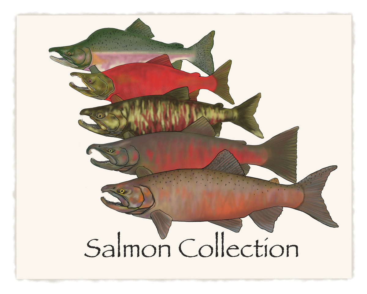 Pelagic Fish Print Collection – TroutMountainWorks