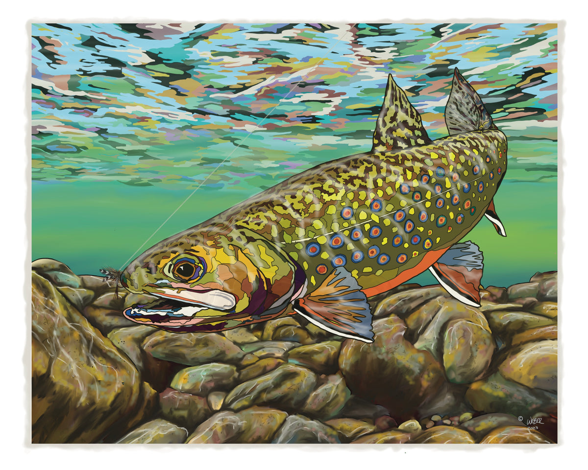 Adams Brook Trout FlyFishing Trout Print – TroutMountainWorks