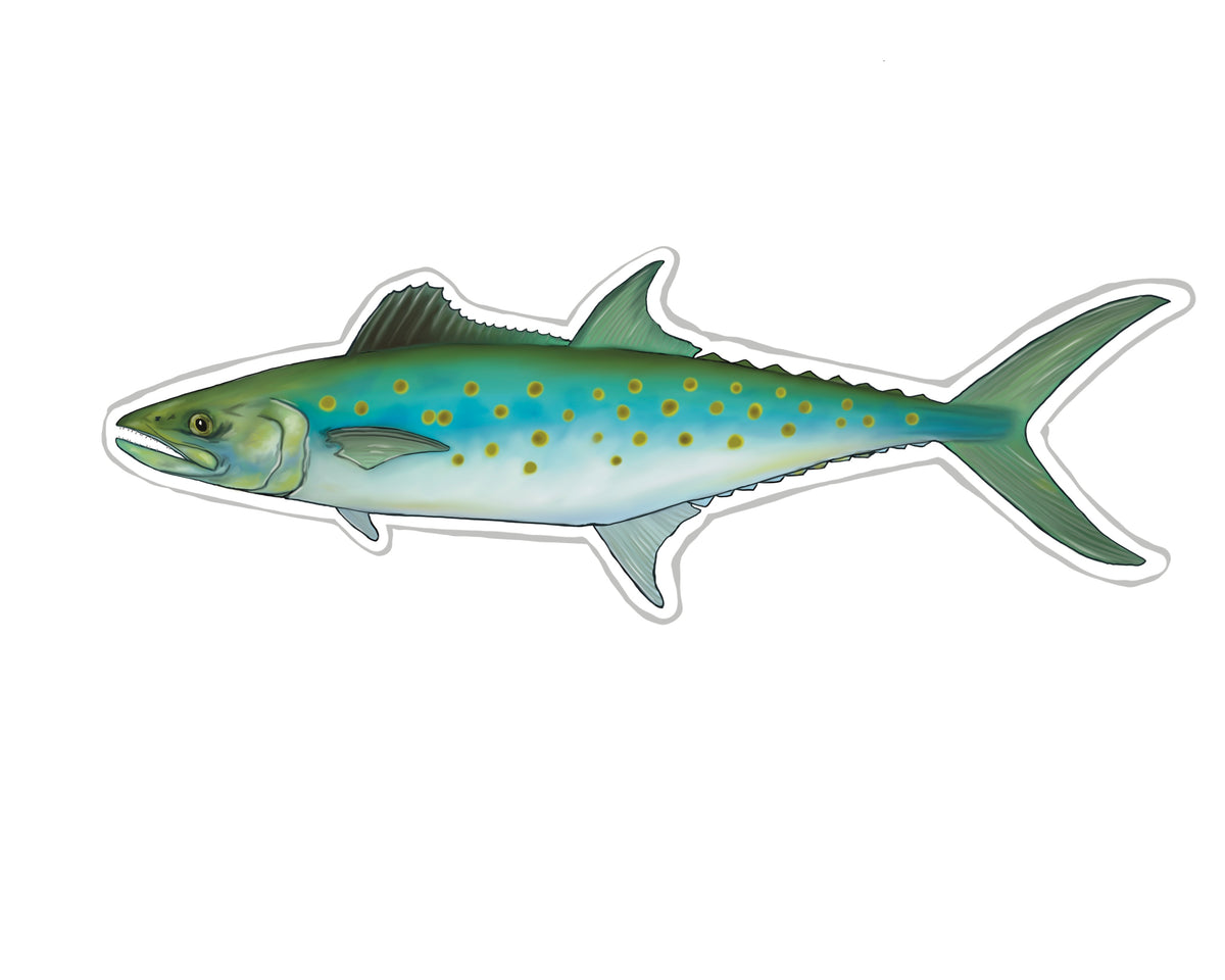 Spanish Mackerel Slim Boat Decals, Fishing Stickers - Fishwreck