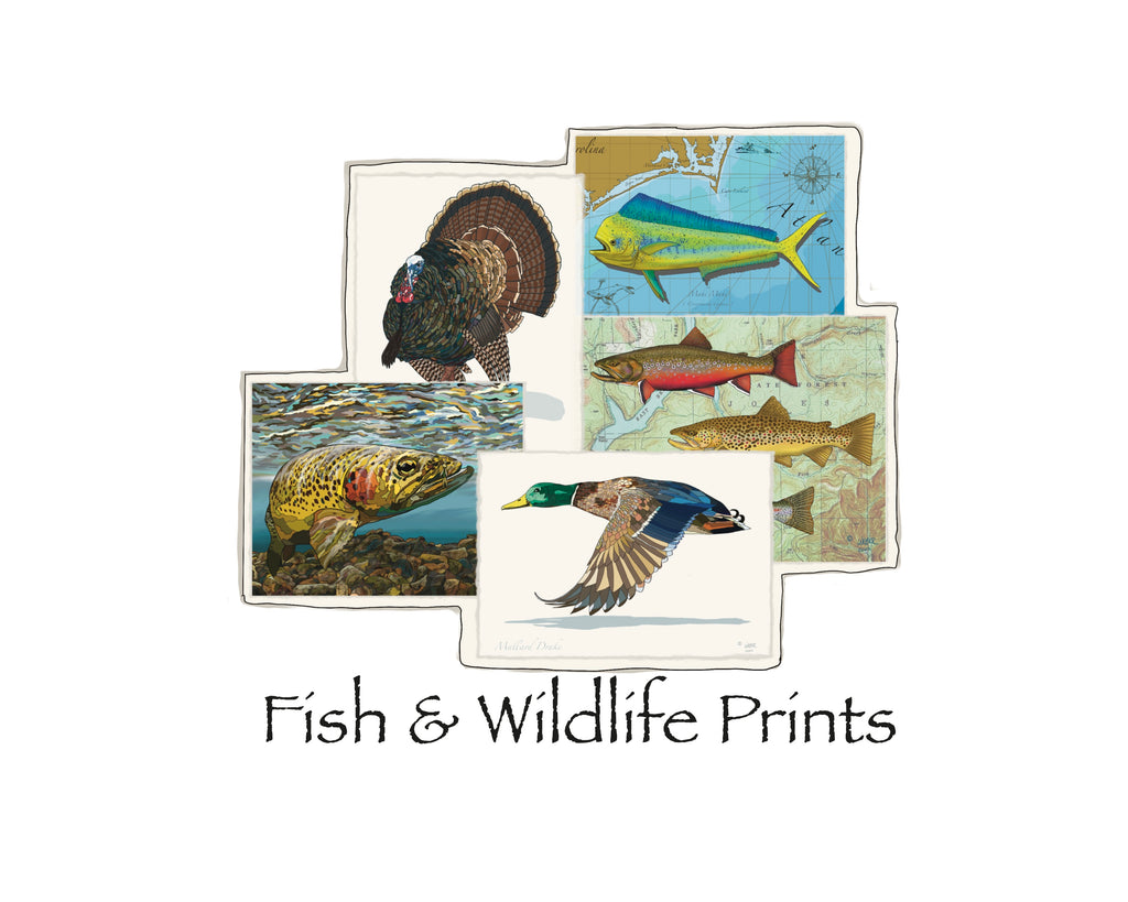 Fish Prints & Duck Print