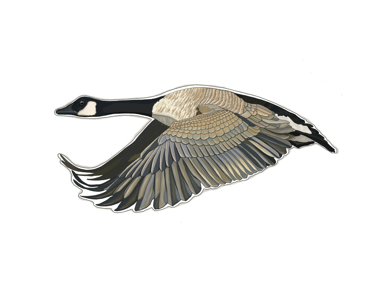 Canada Goose Sticker – TroutMountainWorks