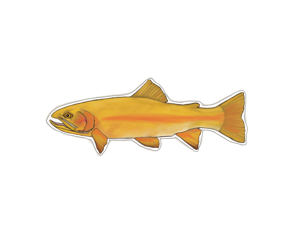Trout Sticker Decal 5.5 DIE CUT Mountain Simms Sage Fly Fishing Hatch Ross  XO