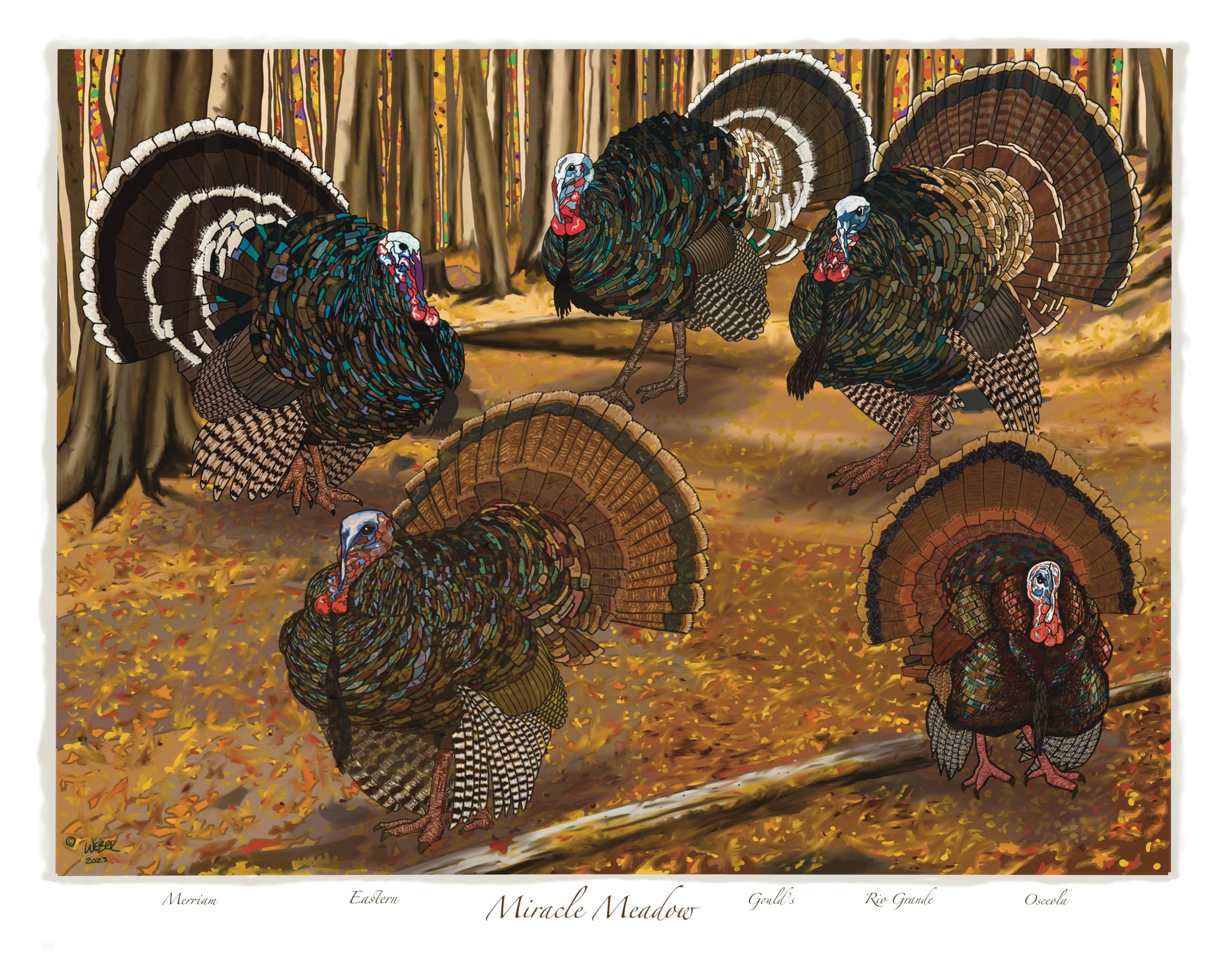A Wild Turkey Grand Slam Print – TroutMountainWorks