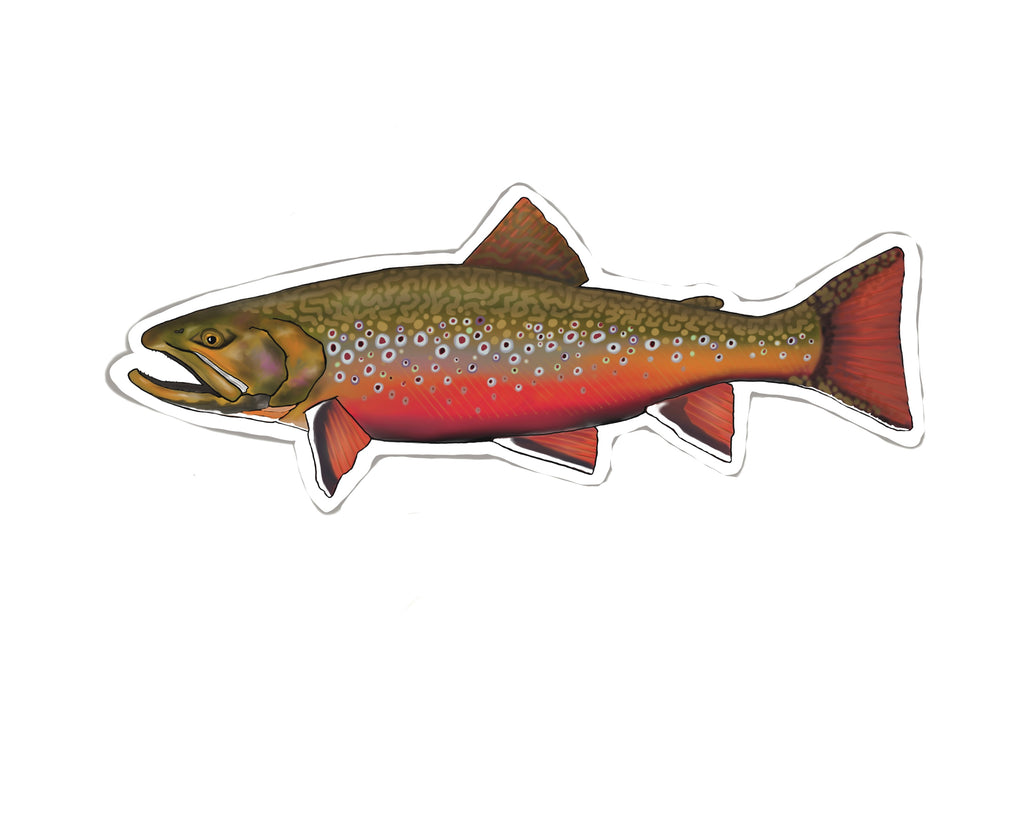 Montana 3 Trout Fly Fishing Sticker Decal Set Waterproof Vinyl Great Gift for Angler Fits Yeti Hydroflask Brook Trout Rainbow Trout Brown Trout