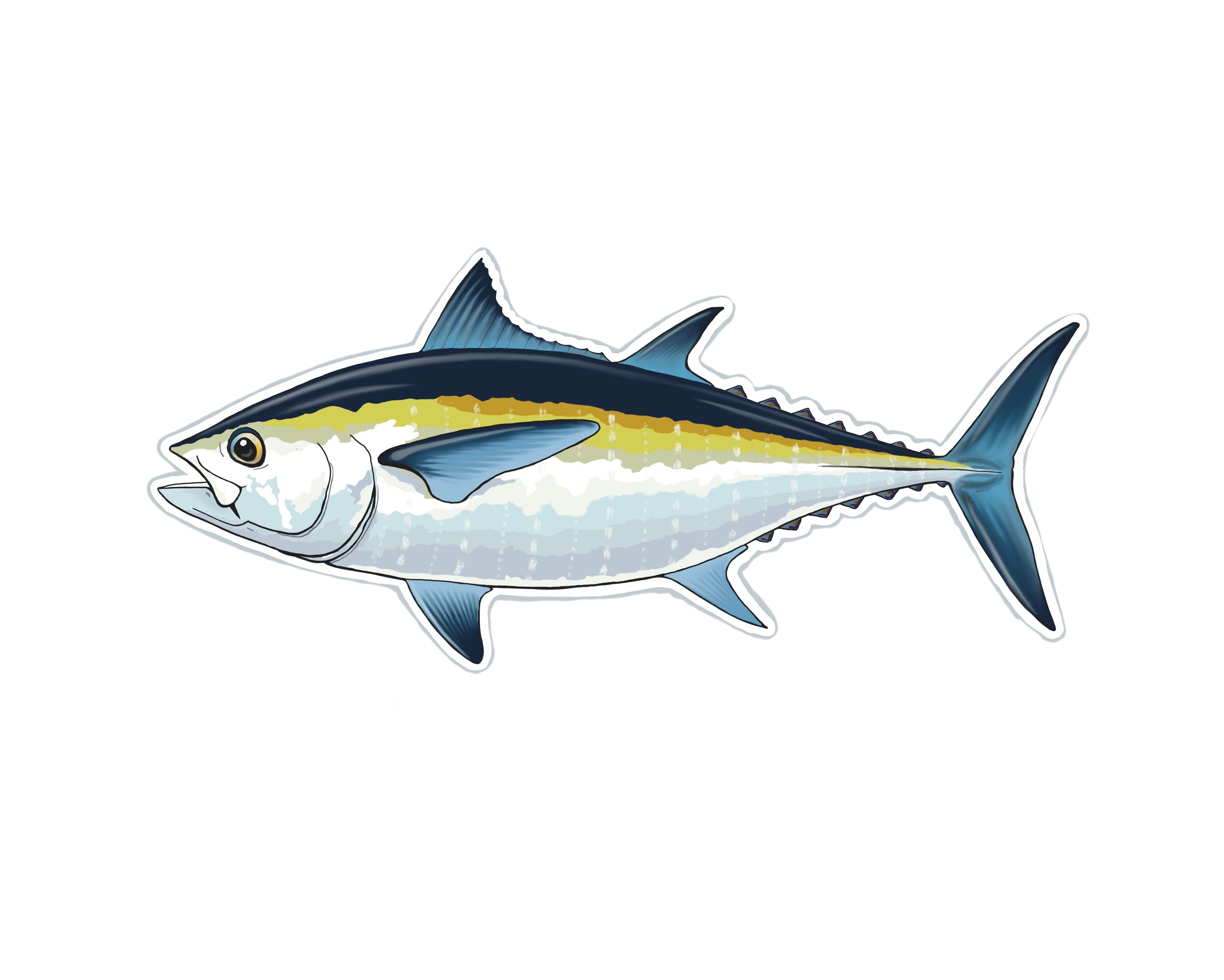 Bigeye Tuna Fishing Sticker – TroutMountainWorks