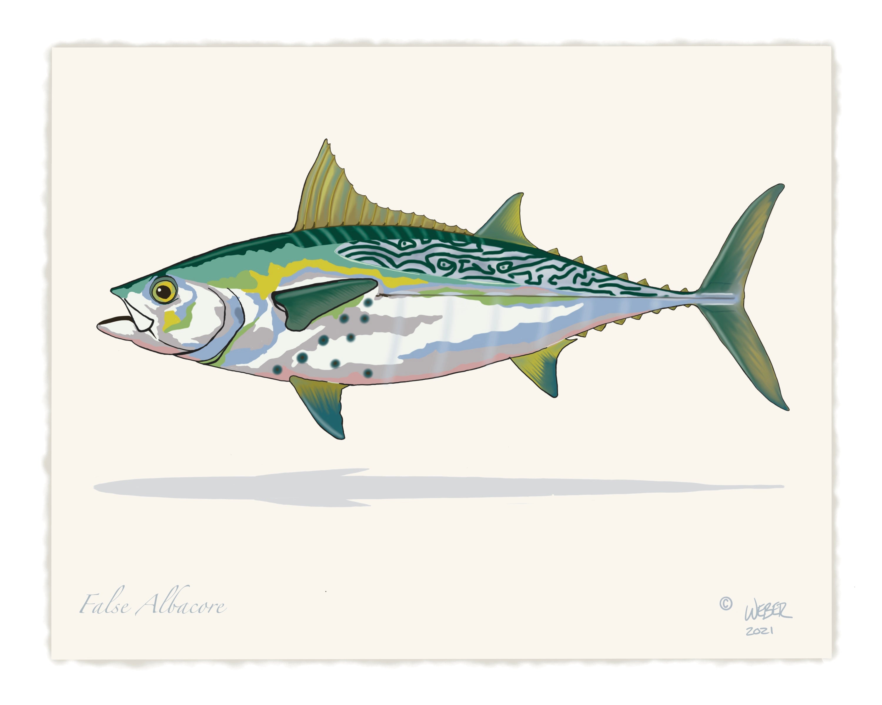 False Albacore Tuna Fishing Print – TroutMountainWorks
