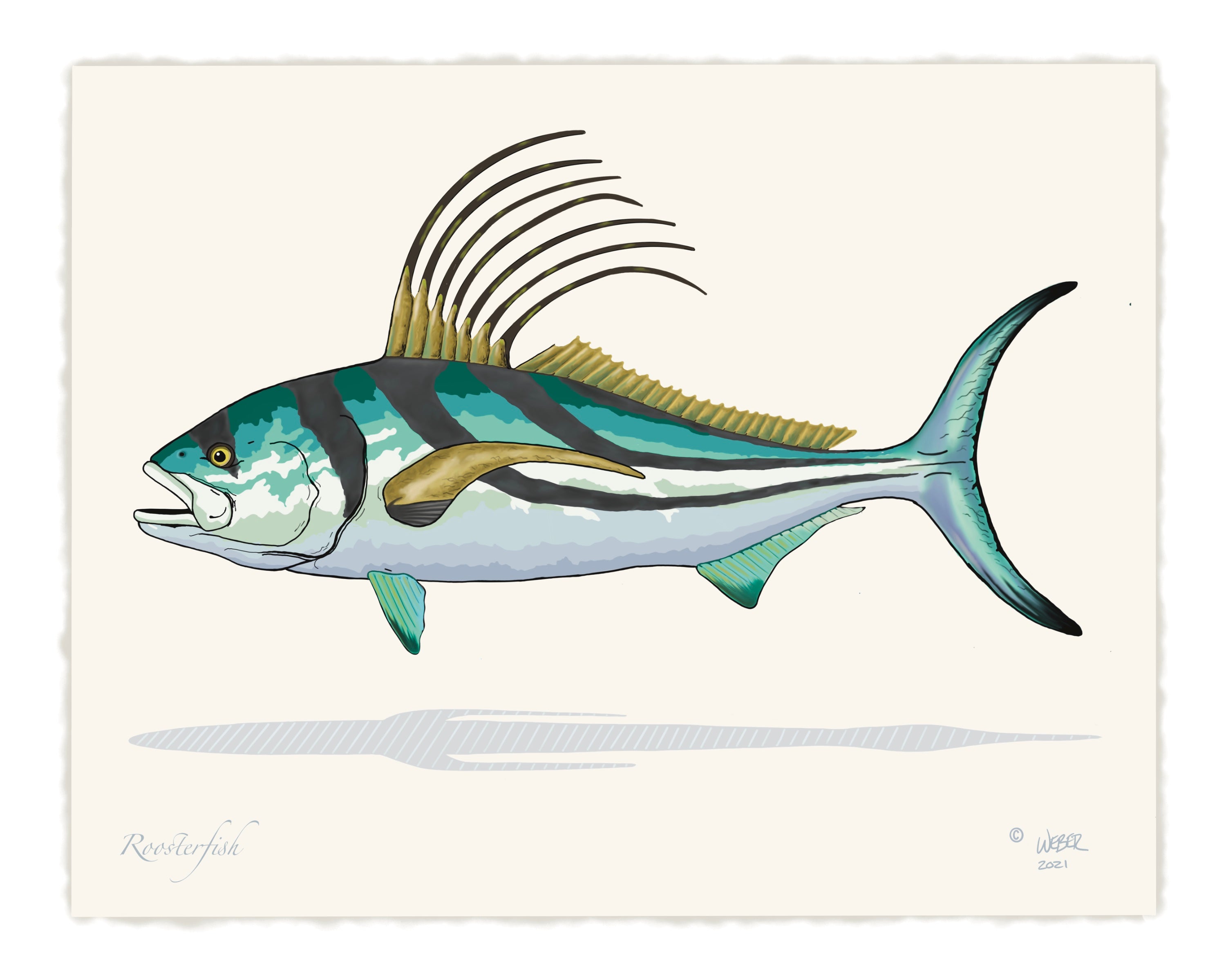 Roosterfish Rooster Fish Fishing Print – TroutMountainWorks