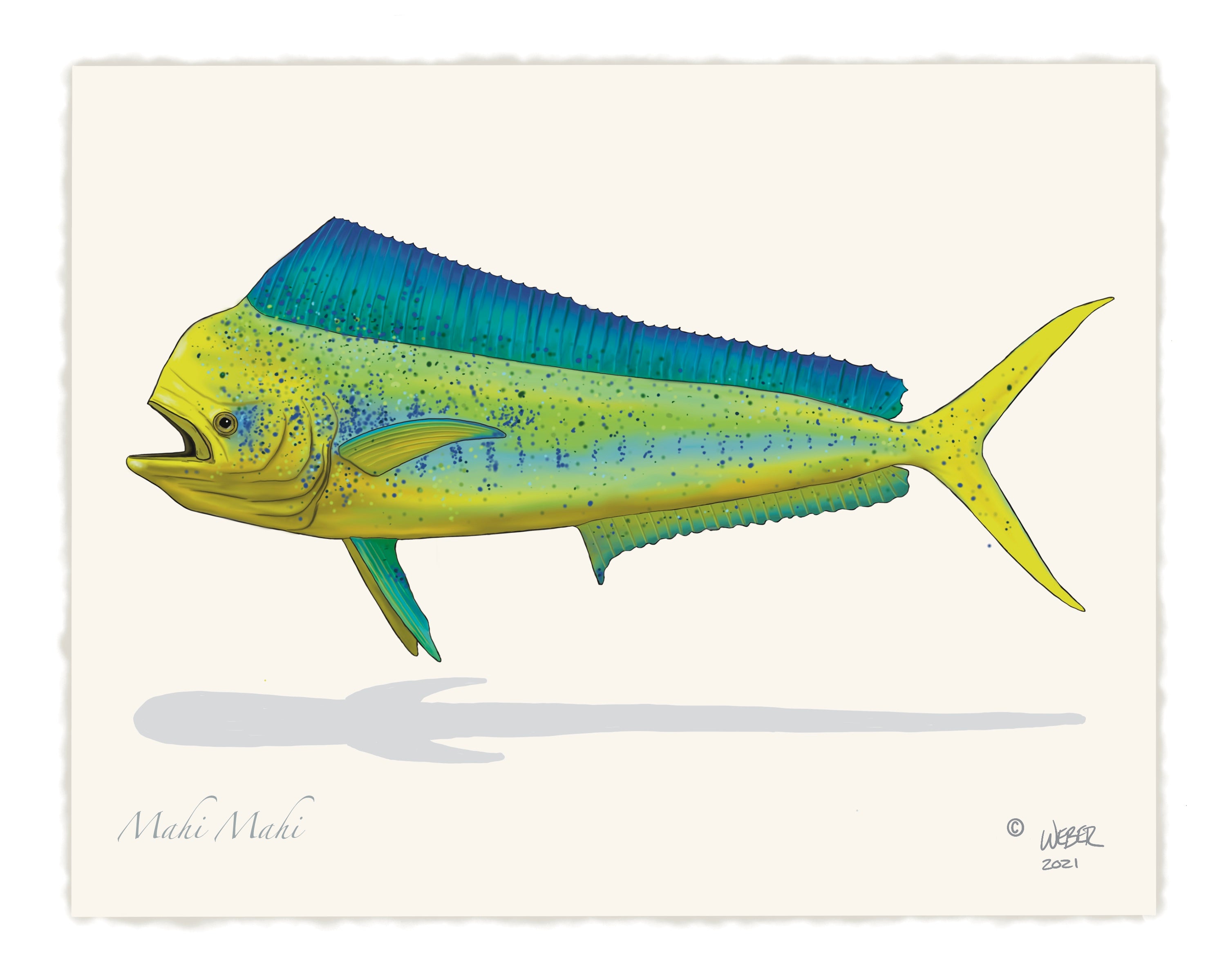 Mahi Robi Mahi Mahi Fish