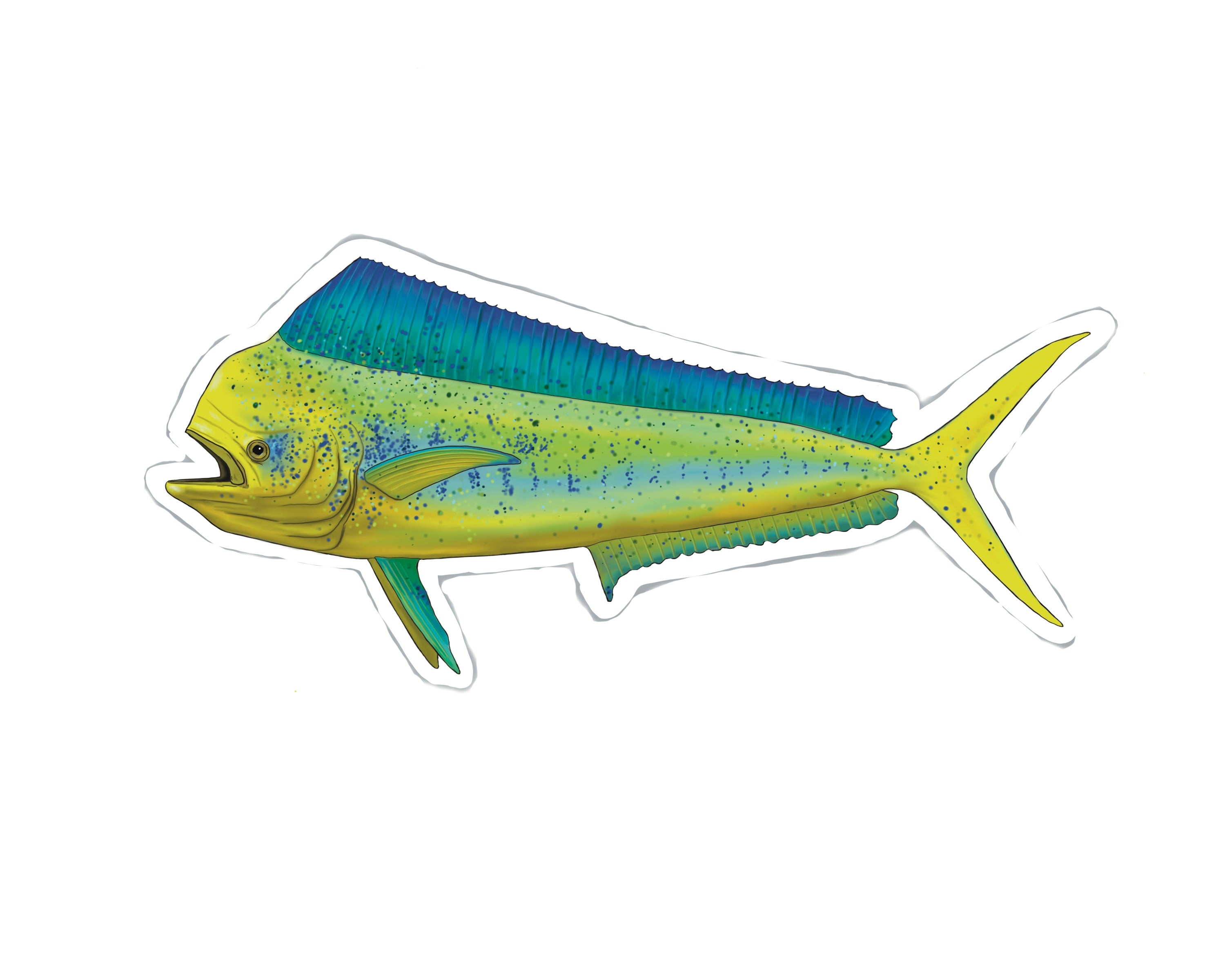 5.5 Mahi Mahi Fishing Sticker – TroutMountainWorks