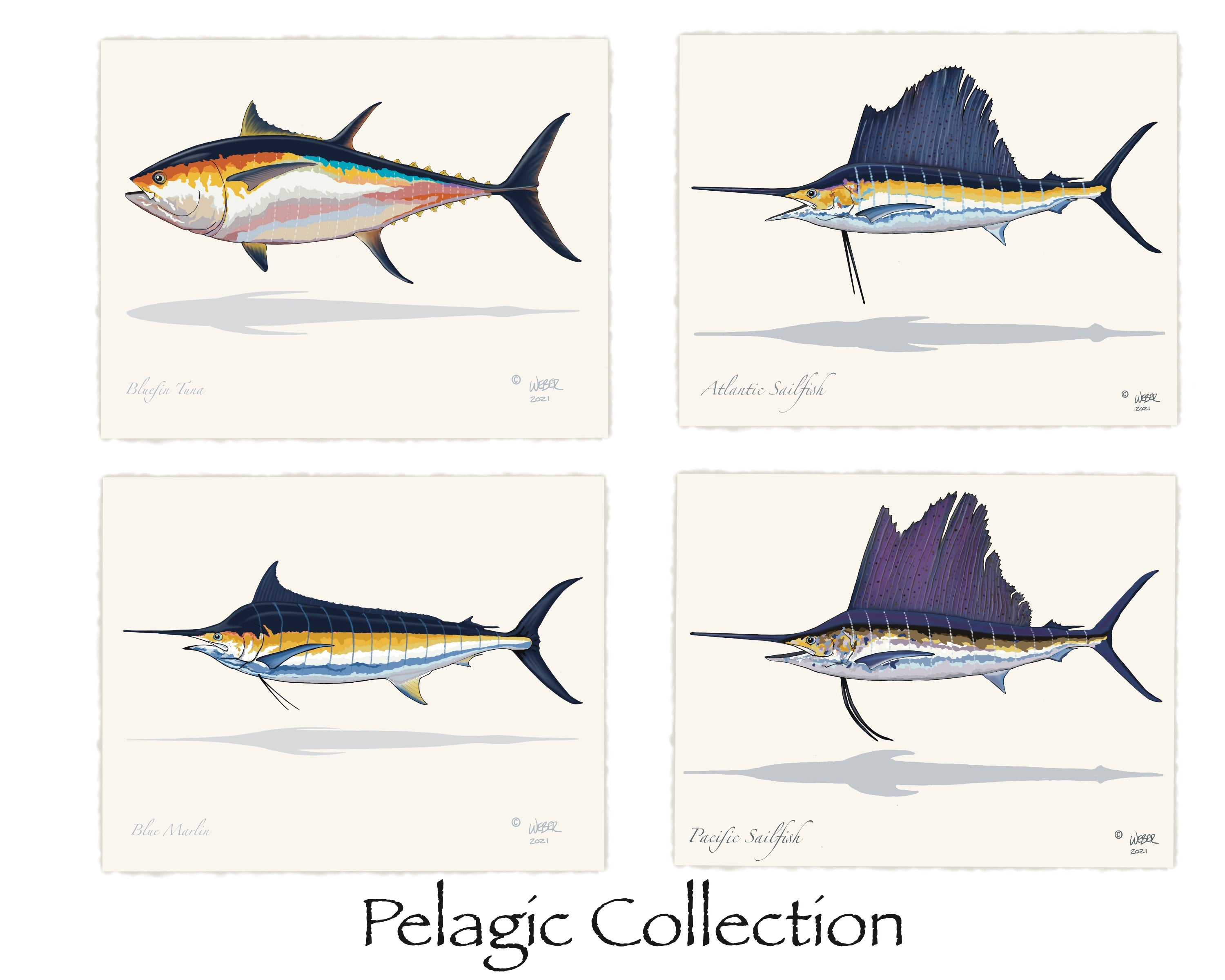 Pelagic Fish Print Collection – TroutMountainWorks